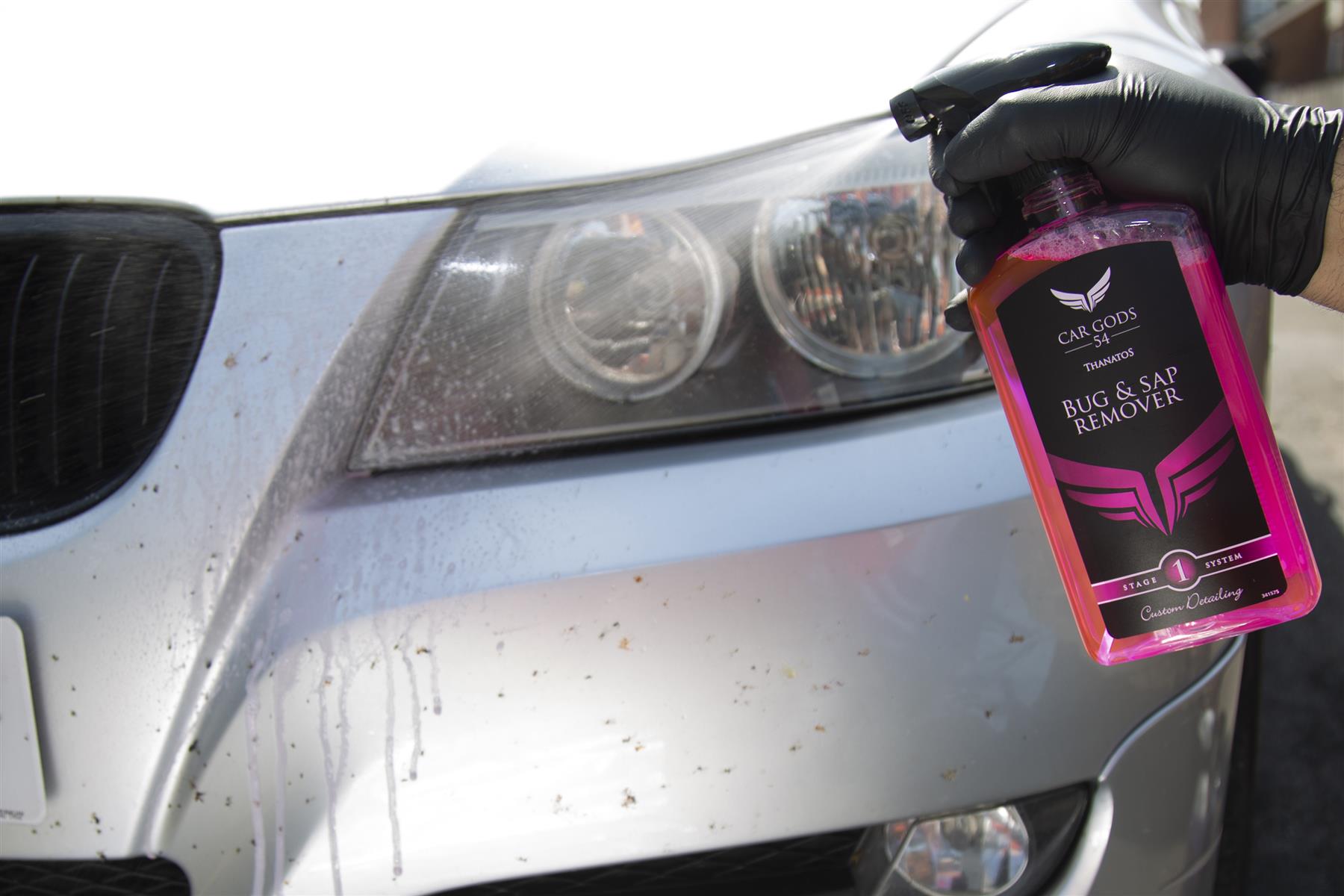 A Guide to Removing Bugs on Windshields and Bumpers