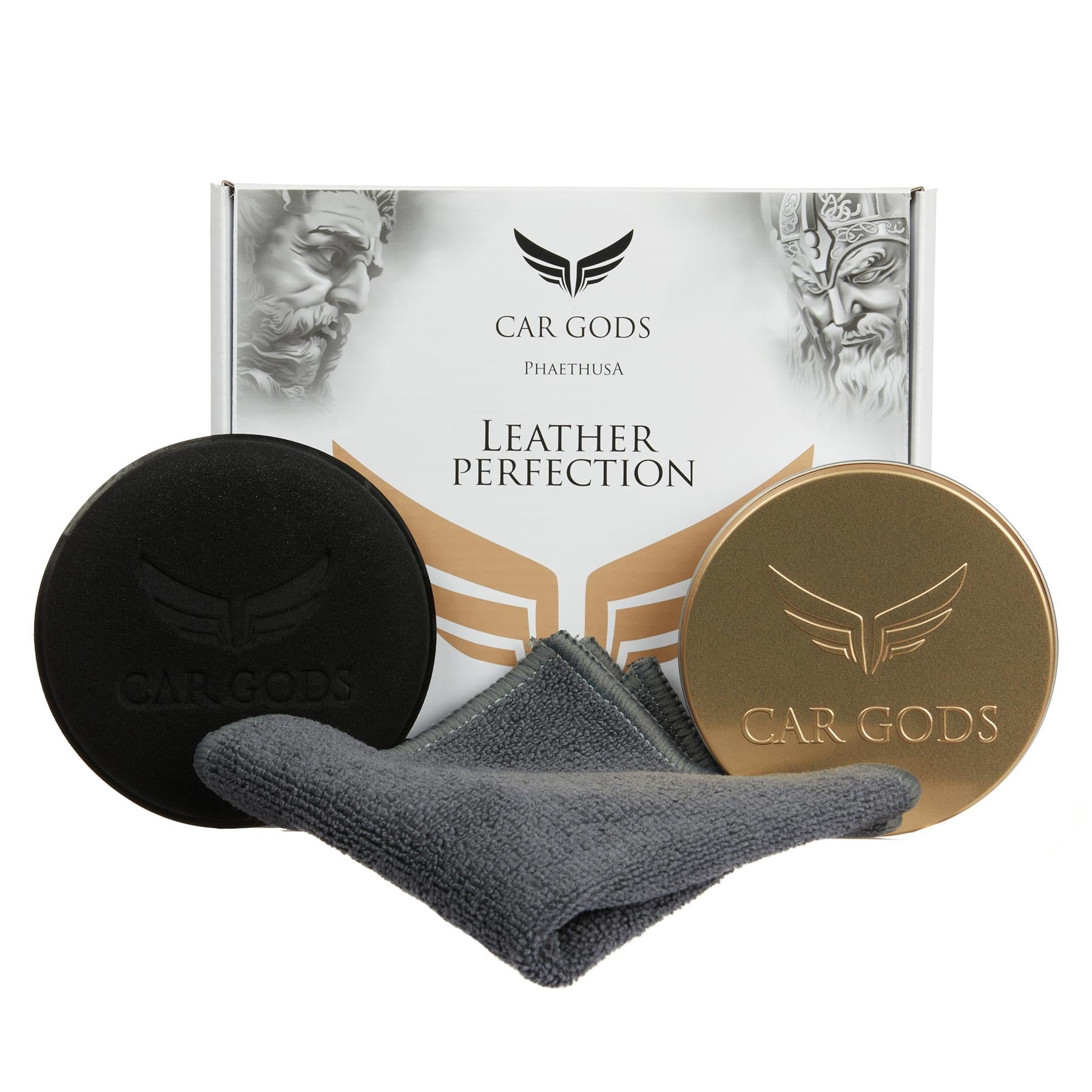 Leather Perfection Kit