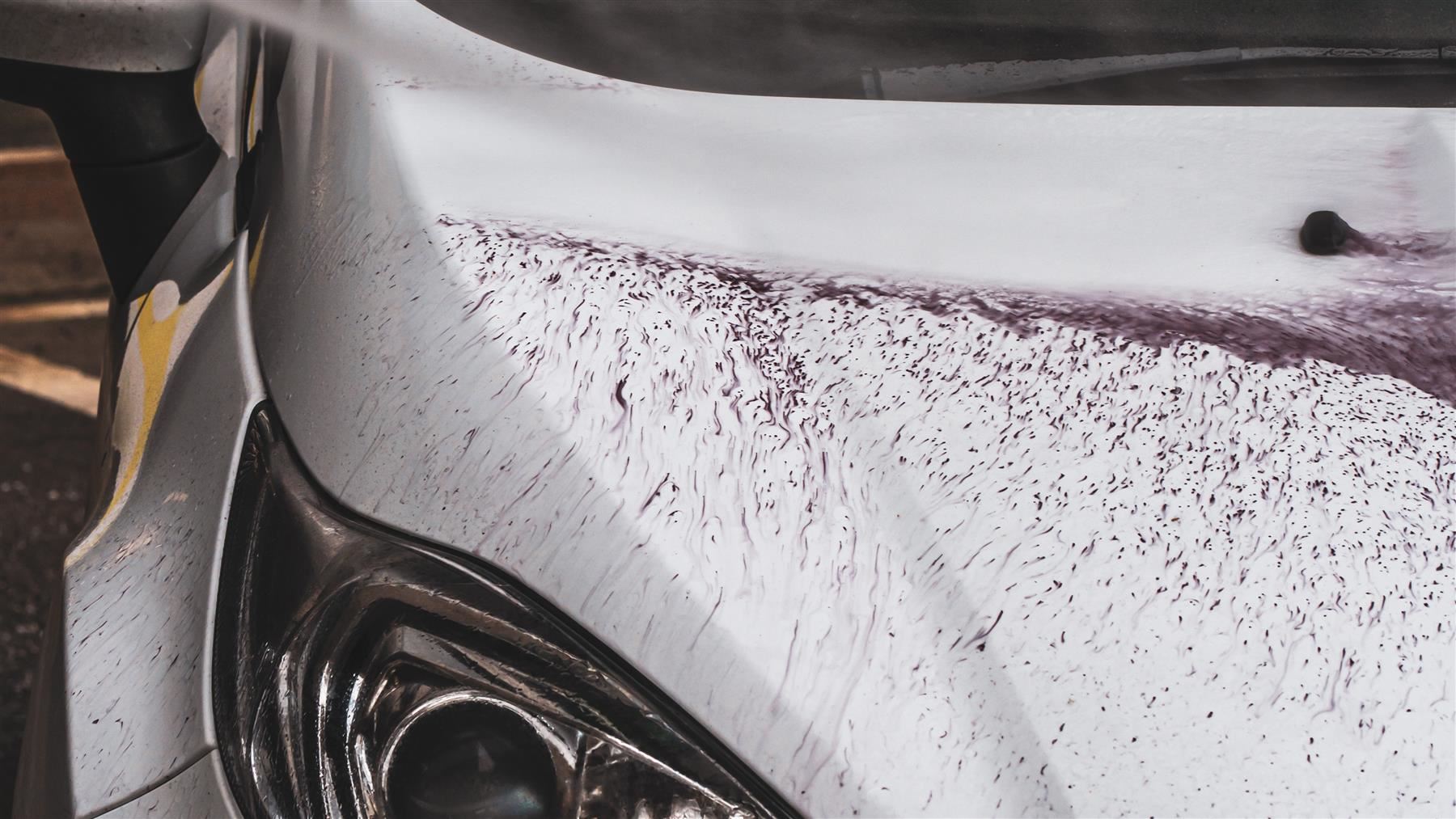 iron contaminants being revealed on a car bonne after being sprayed with fallout eliminator