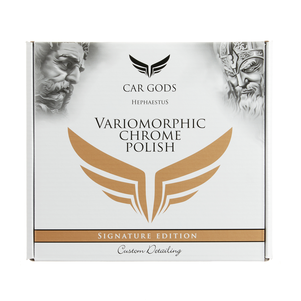 Chrome Polish Kit