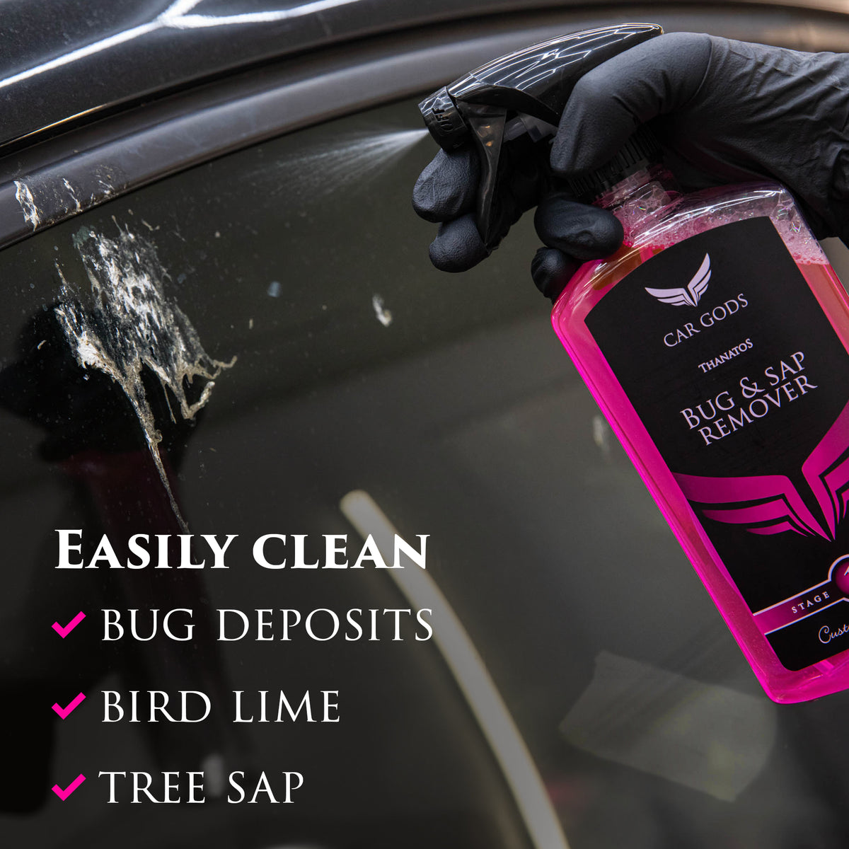 Bug & Sap Remover