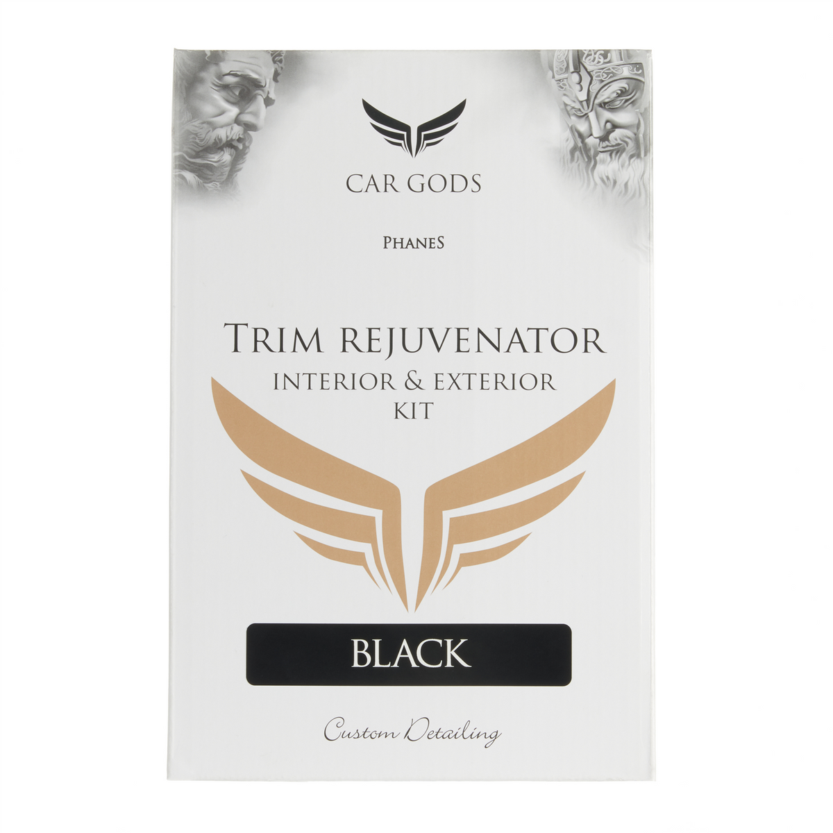 Interior & Exterior Trim Rejuvenator Kit - Black