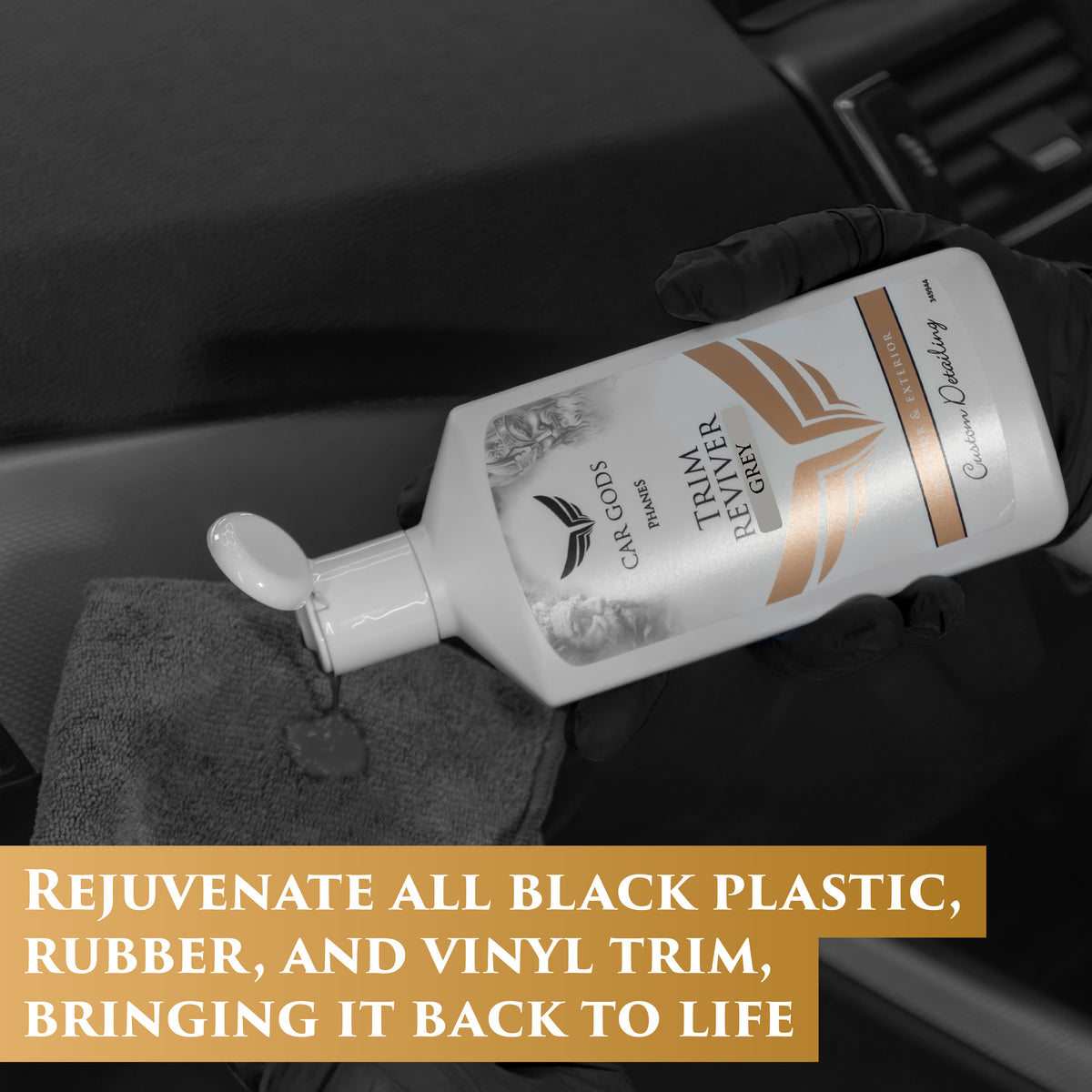 Interior & Exterior Trim Rejuvenator Kit - Black