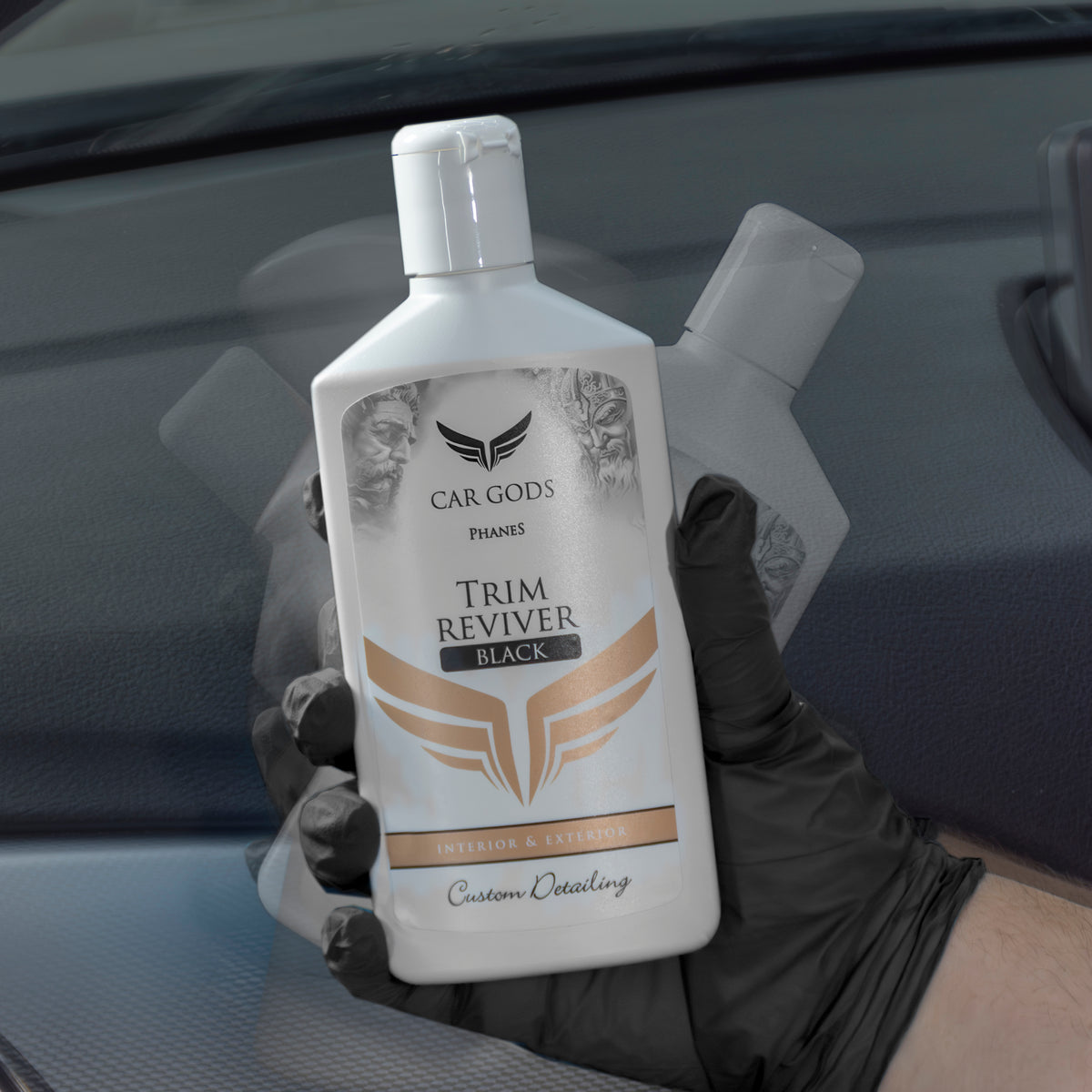 Interior & Exterior Trim Rejuvenator Kit - Black