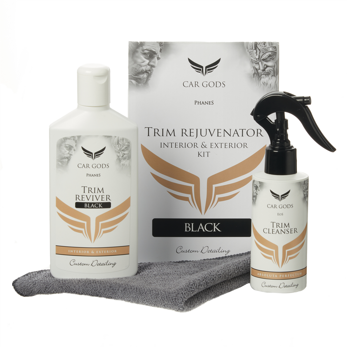 Interior & Exterior Trim Rejuvenator Kit - Black