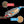Load image into Gallery viewer, Before and After Nitrox Clean Cat Diesel
