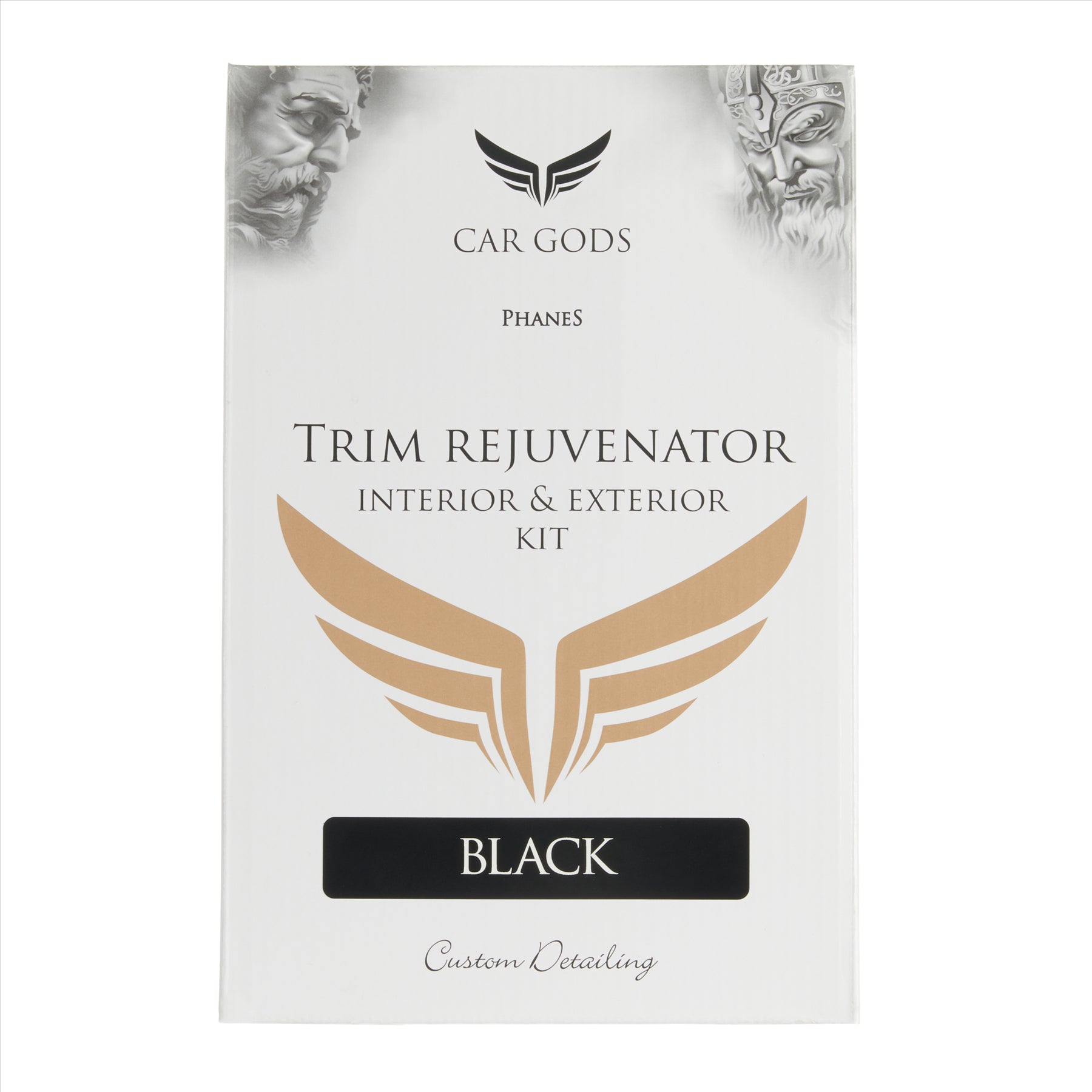 Trim Rejuvenator Kit in Black - Car Gods