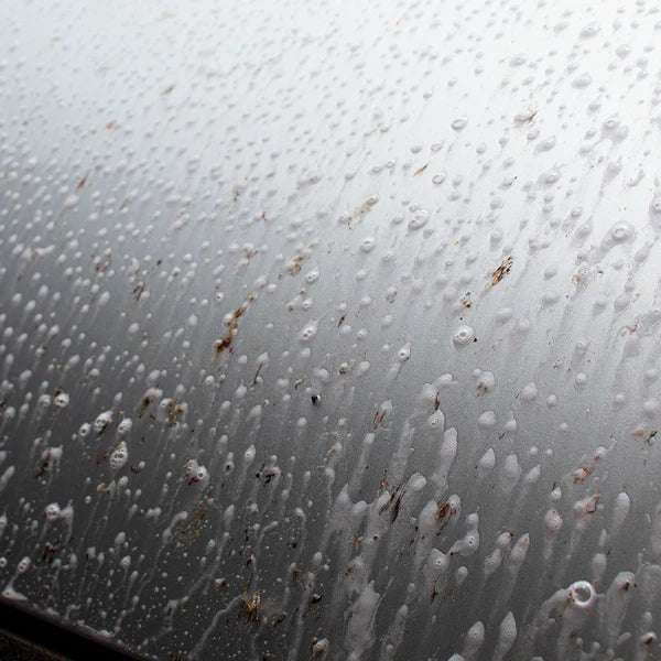 Bug and Sap Remover soaking on bug splatters