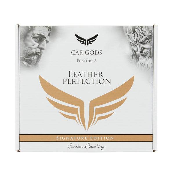 Leather Perfection Kit
